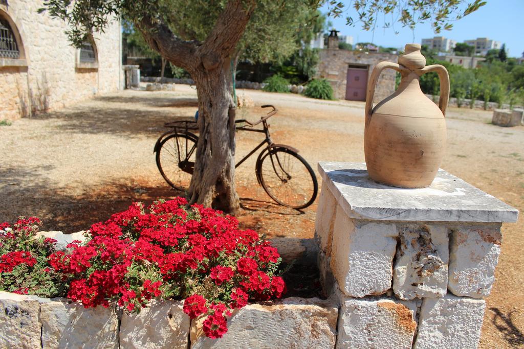 Masseria Tolla Ostuni Exteriör bild